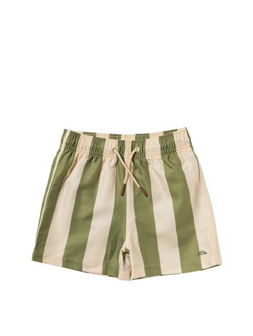 Salted Stories SASS26-618SAH069 Wide Stripe | Swim Shorts Iguana