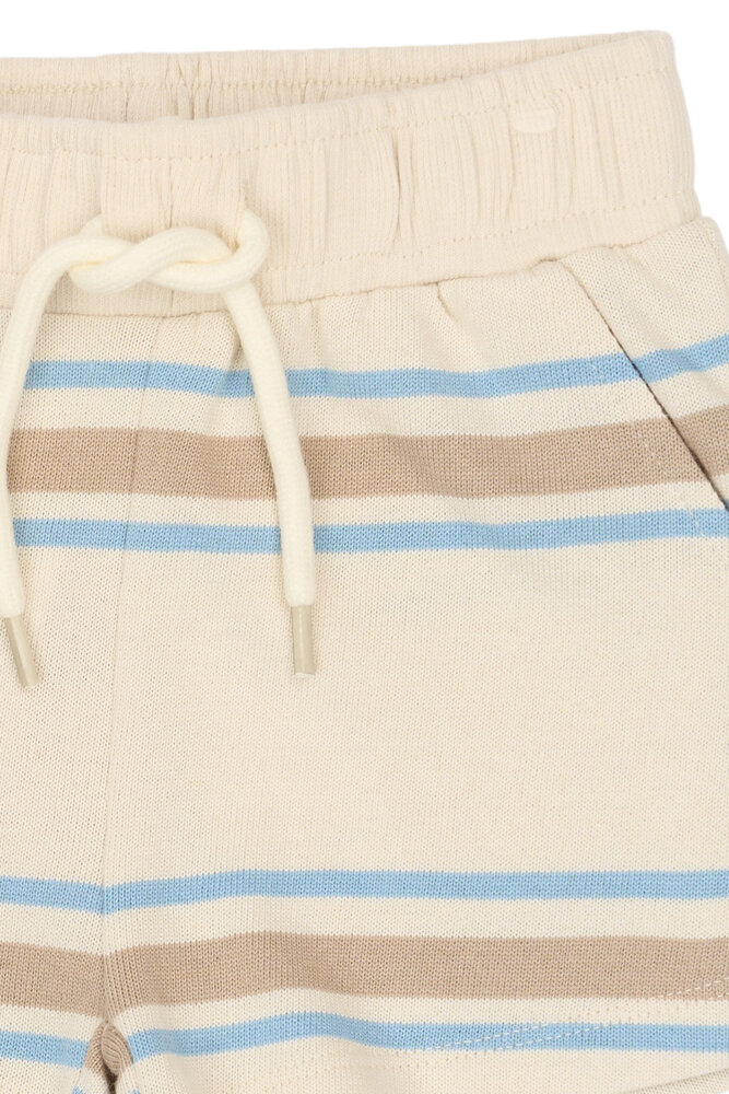 The New TNSTTheodor Shorts Multi Striped The New TNSTTheodor Shorts Multi Striped