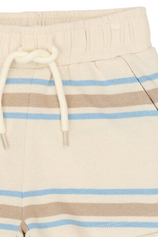 The New TNSTTheodor Shorts Multi Striped The New TNSTTheodor Shorts Multi Striped