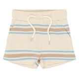 The New TNSTTheodor Shorts Multi Striped