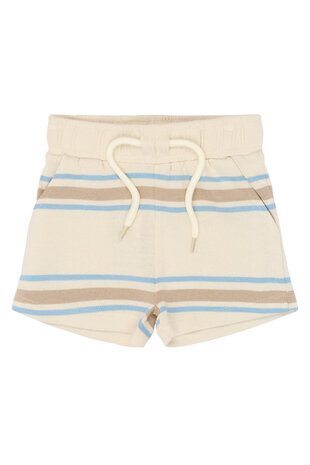 The New TNSTTheodor Shorts Multi Striped The New TNSTTheodor Shorts Multi Striped