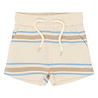The New TNSTTheodor Shorts Multi Striped The New TNSTTheodor Shorts Multi Striped