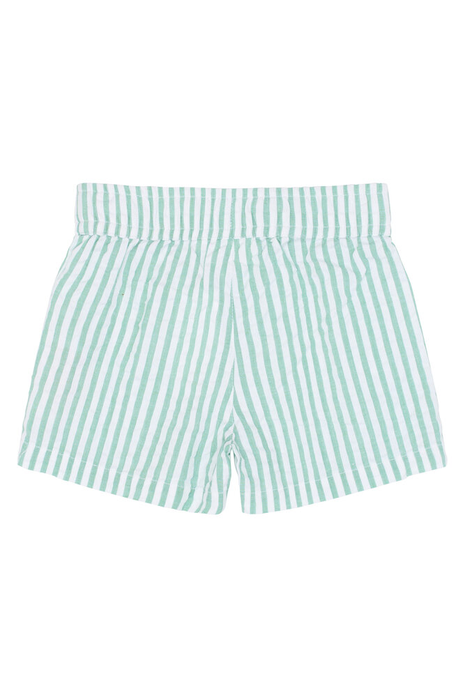 The New TNSTTate Shorts Creme de Menthe Striped The New TNSTTate Shorts Creme de Menthe Striped