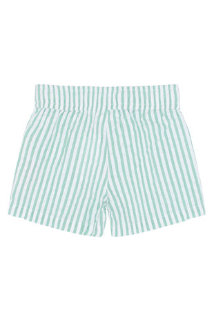 The New TNSTTate Shorts Creme de Menthe Striped The New TNSTTate Shorts Creme de Menthe Striped