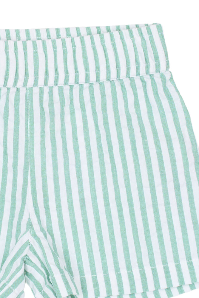 The New TNSTTate Shorts Creme de Menthe Striped The New TNSTTate Shorts Creme de Menthe Striped