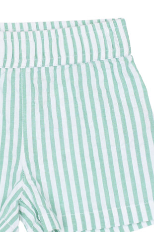 The New TNSTTate Shorts Creme de Menthe Striped The New TNSTTate Shorts Creme de Menthe Striped