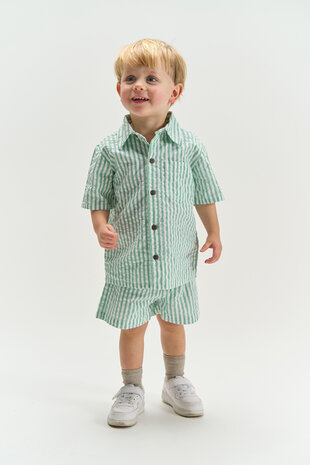 The New TNSTTate Shorts Creme de Menthe Striped The New TNSTTate Shorts Creme de Menthe Striped