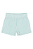 TNSTTate Shorts Creme de Menthe Striped