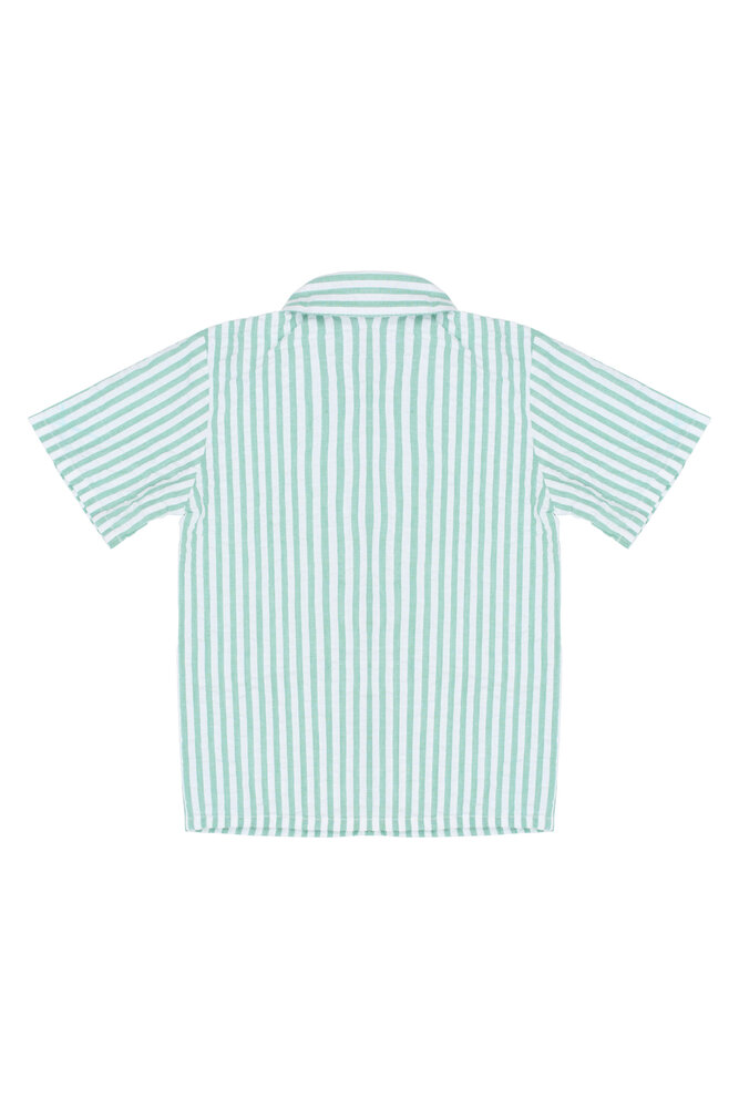 The New TNSTTate S_S Shirt Creme de Menthe Striped The New TNSTTate S_S Shirt Creme de Menthe Striped