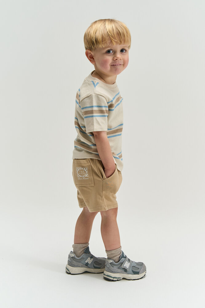 The New TNSTTheodor S_S Tee Multi Striped