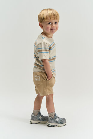 The New TNSTTheodor S_S Tee Multi Striped