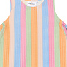 The New TNSTTracie S_L Dress Multi Stripe