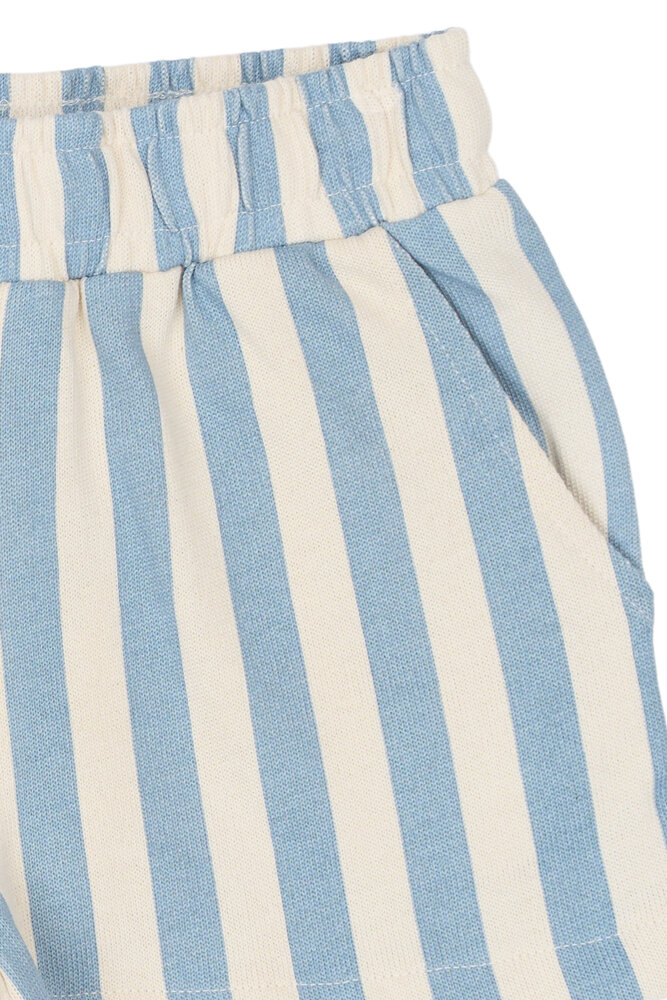The New TNSTTaliana Shorts Forever Blue Striped The New TNSTTaliana Shorts Forever Blue Striped