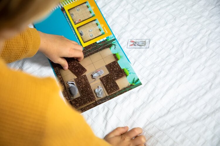 magnetic puzzle: Down the rabbit hole