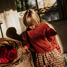 Petit Blush Sweater Ruffles Garnet