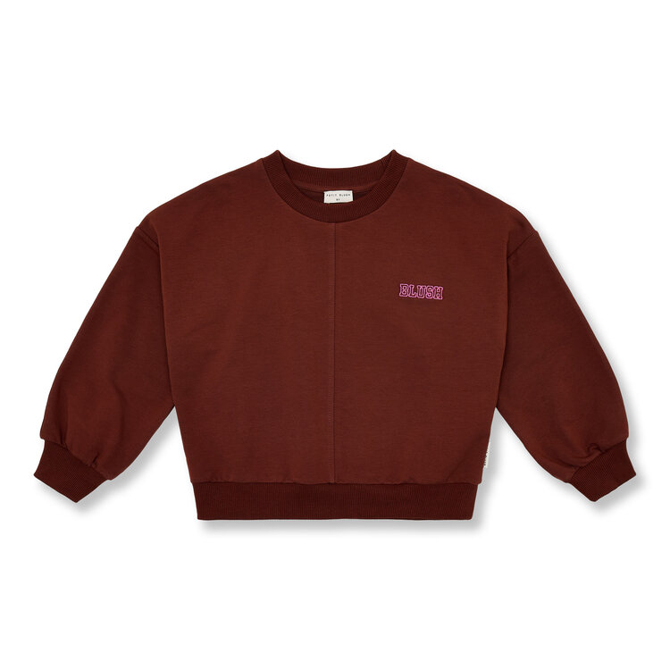 Petit Blush Luca Sweater Brown