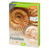 Moses Expeditie natuur uithakset fossielen