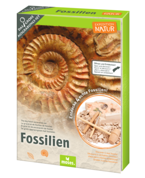 Moses Expeditie natuur uithakset fossielen