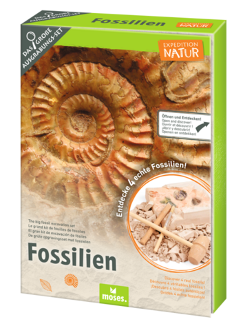 Moses Expeditie natuur uithakset fossielen