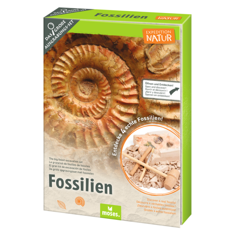 Moses Expeditie natuur uithakset fossielen