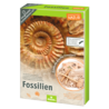 Moses Expeditie natuur uithakset fossielen Moses Expeditie natuur uithakset fossielen