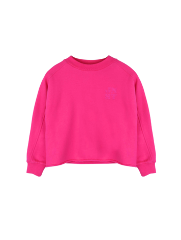 Jenest Billie Sweater Raspberry Pink