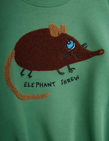 Mini Rodini Elephant shrew chenille sweatshirt Green
