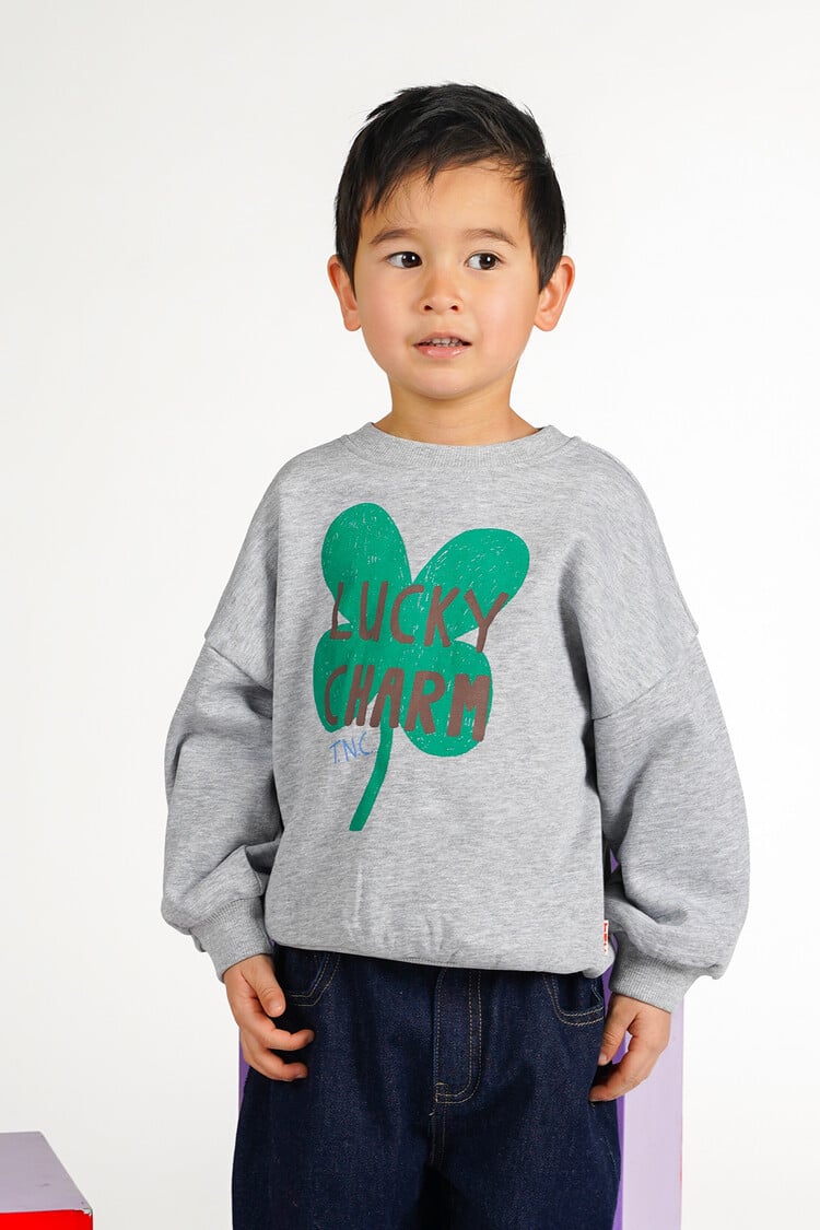 The New Chapter Billie Sweater - Grey Melee