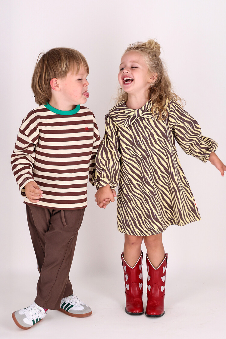 The New Chapter Saar Dress - Zebra