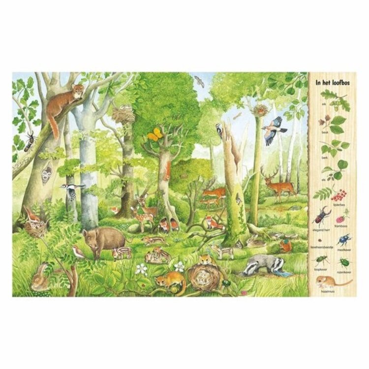 Deltas Kijk- en zoekboek - In het bos