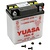 Lead Batteries (Conventional)