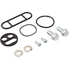 Fuel Tap Repair Kit
