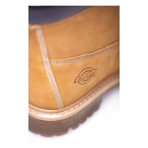 Dickies Asheville 6 '' waterproof boots Honey brown