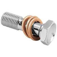 Hohlschraube M10x1,25mm Doppel