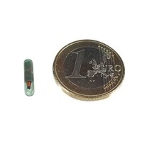 mo.lock Clé en verre
