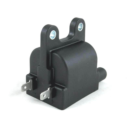TRW Bobina de encendido para Triumph o BMW