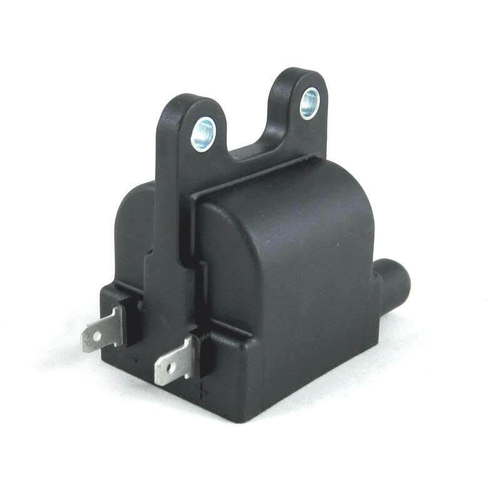 TRW Ignition Coil for Triumph or BMW