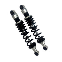 RE302-T fur BMW R-Series Twinshock