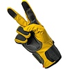 thubmnail