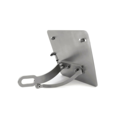 Triumph - sidemount "Pure", roestvrij staal