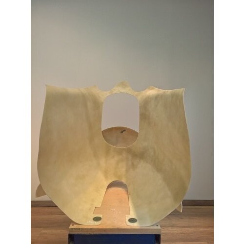 Cafe Racer Fiberglasverkleidung Typ 3