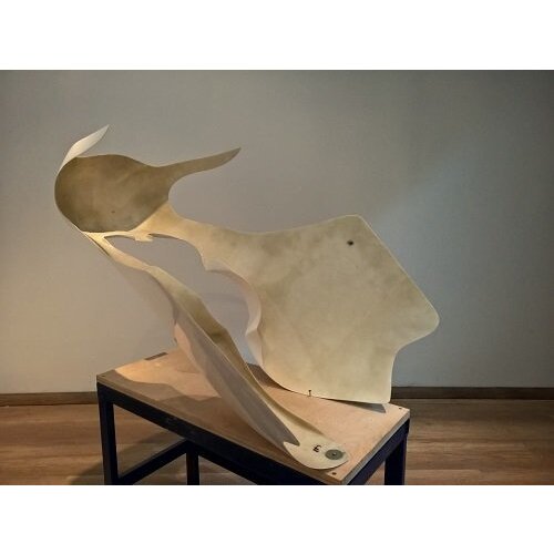 Carénage en fibre de verre type 6