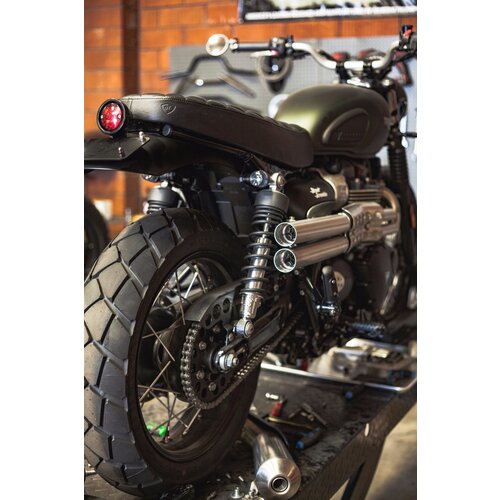 Slip-on Auspuff Shotgun Style  Triumph Street Scrambler 900 ABS