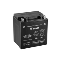 YIX30L-BS Onderhoudsvrije Accu