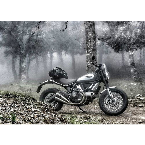 Spark Classic Exhaust Muffler Stainless Steel Ducati Scrambler 803