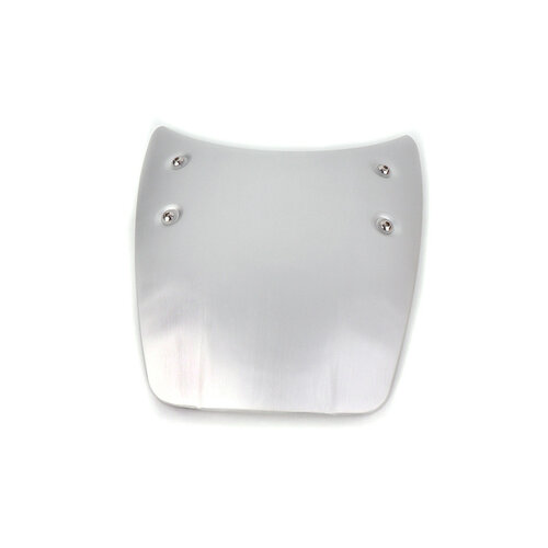 BMW R NineT koplamp kuip silver
