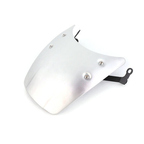 BMW R NineT koplamp kuip silver