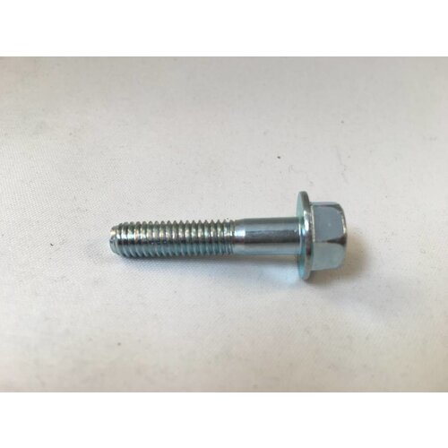 Flensbout Zeskant M6 x 30