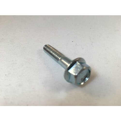 Schraubenflansch Sechskant M6 x 30 (Mindest bestellmenge = 10)