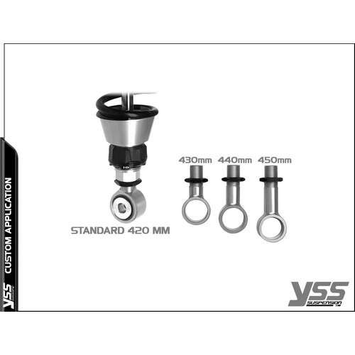 RZ362-TRL fur BMW R-Series Twinshock